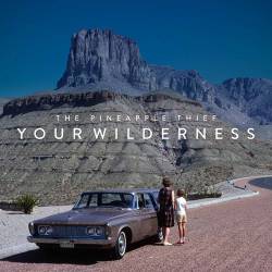 The Pineapple Thief : Your Wilderness